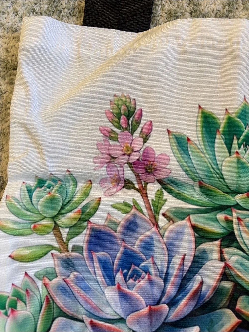 Pastel Potted Succulents Cactus Poly Tote Bag NWT 14x15.25”